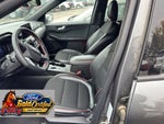 2025 Ford Escape ST-Line Gold Certified
