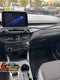 2025 Ford Escape ST-Line Gold Certified