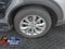 2020 Ford Explorer XLT Blue Certified w/Tow Pkg