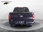 2025 Ford F-150 XLT Black Appearance Pkg