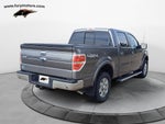 2012 Ford F-150 Laria Plus Pkg w/Chrome