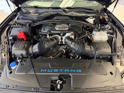2024 Ford Mustang Dark Horse
