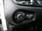 2022 Jeep Renegade Altitude